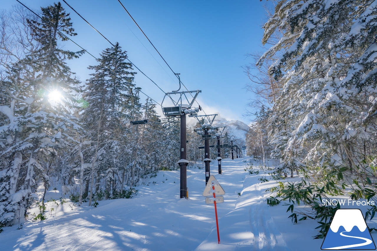 大雪山層雲峡・黒岳ロープウェイスキー場｜やっぱりここは別世界。標高1,520ｍのパウダーフィールド！